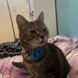 Ella - thumbnail 2