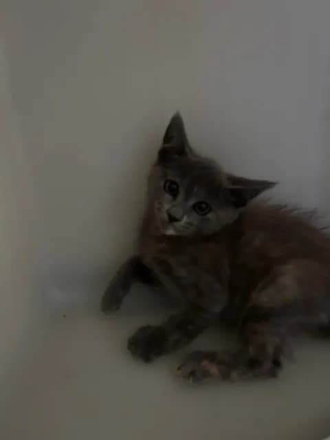 Unnamed - photo 1