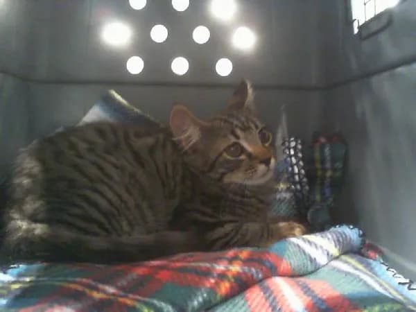Unnamed - photo 1