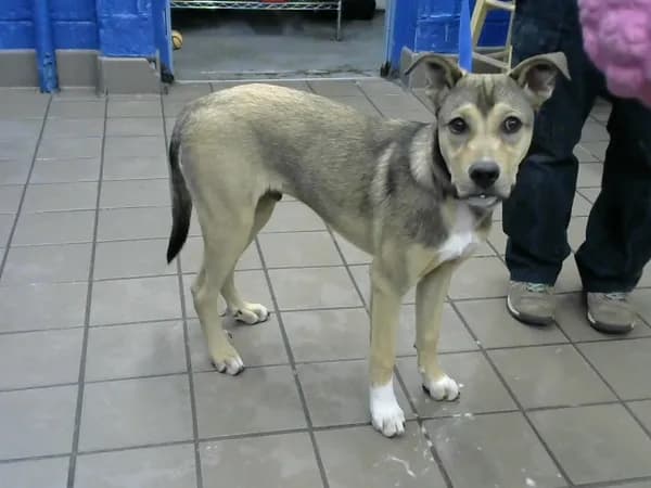 Eddie - photo 1