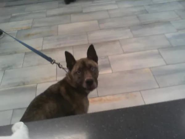 Unnamed - photo 1