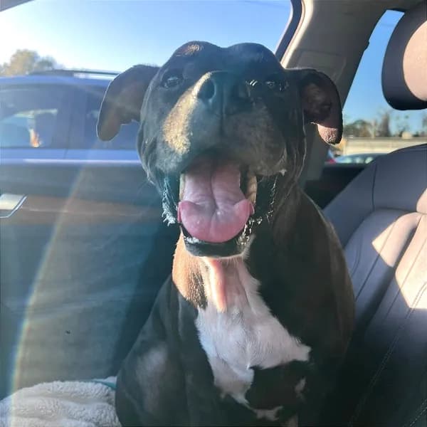 Frank - photo 1