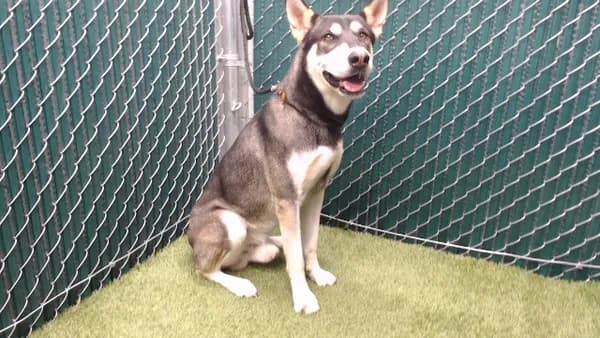 Arlo - photo 1