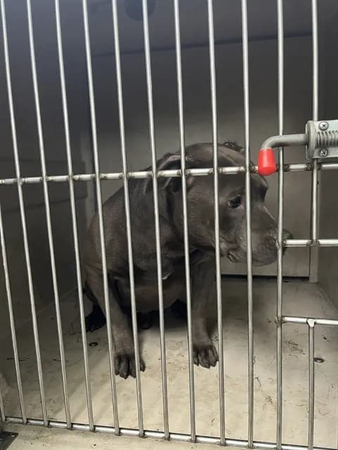 Zeus - Unknown mix