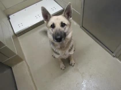 Molly - thumbnail 2