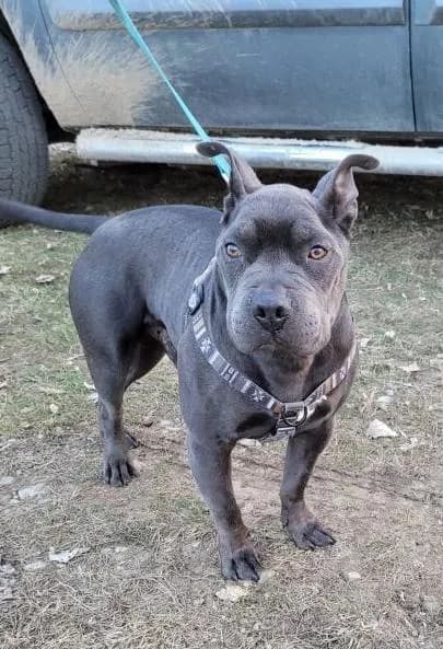 Zeus - photo 1