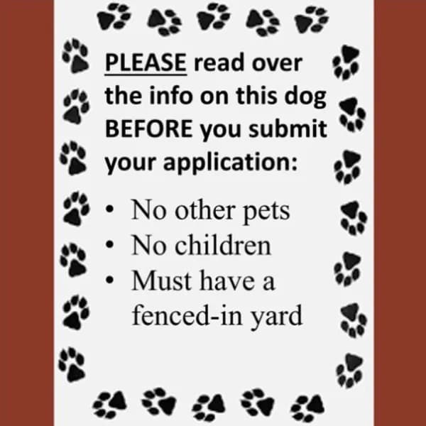 Kitchen - thumbnail 4