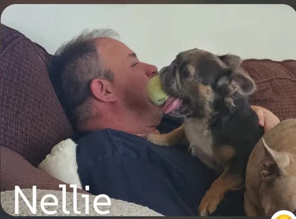 Nelly - thumbnail 7