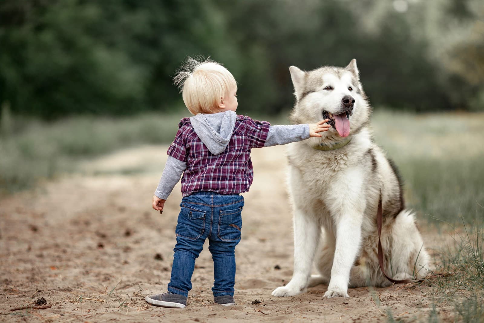 Adopting a Pet With Kids: A Family Decision Guide