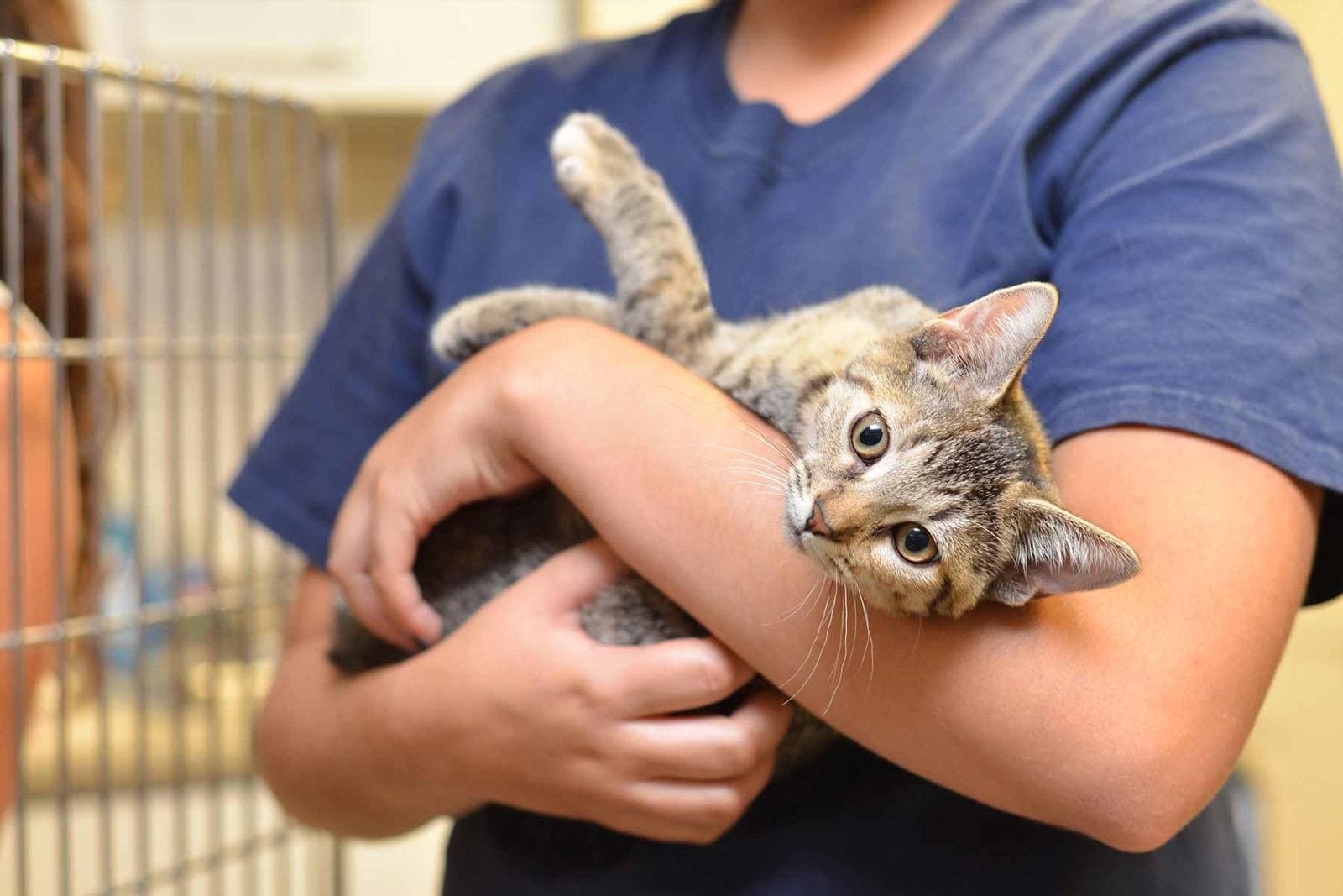 The True First-Year Cost of Pet Adoption (2026 Update)