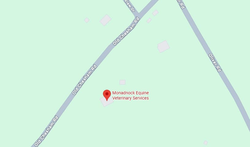 Monadnock Equine Veterinary Services