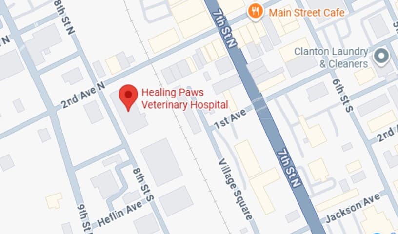 Healing Paws Veterinary Hospital