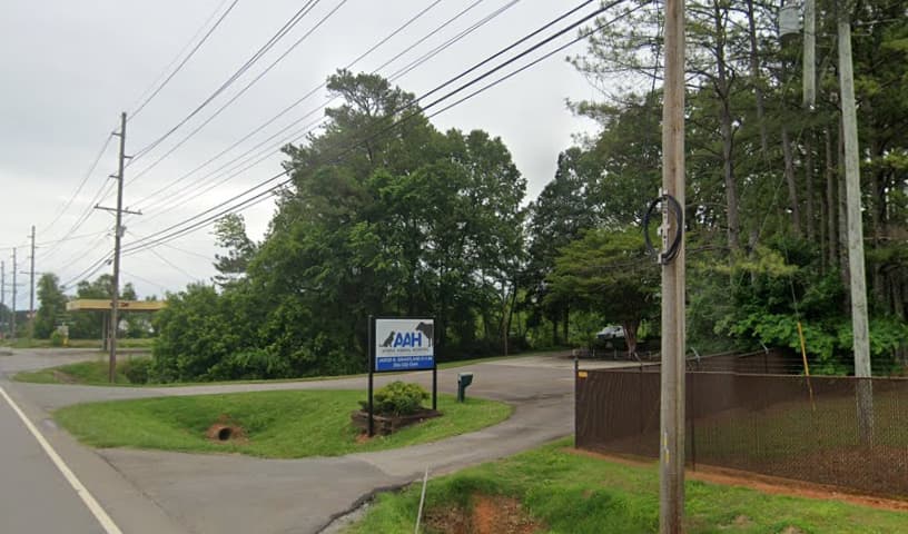 Athens Animal Hospital
