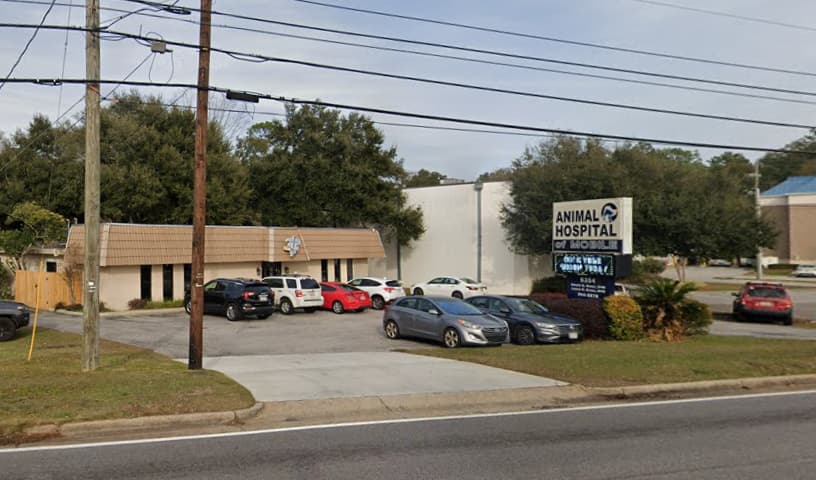 Animal Hospital of Mobile