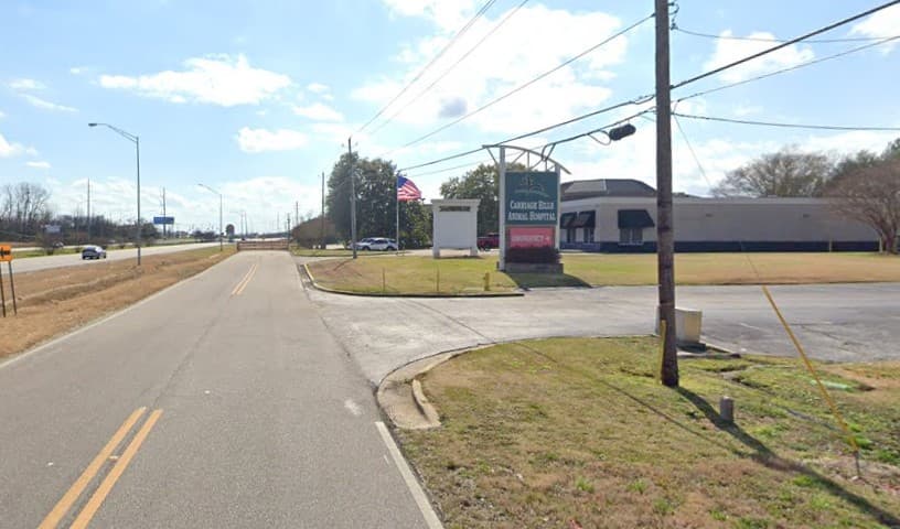 VCA Carriage Hills Animal Hospital and Pet Resort
