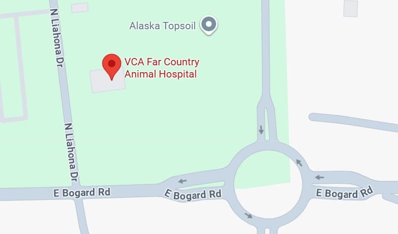 VCA Far Country Animal Hospital