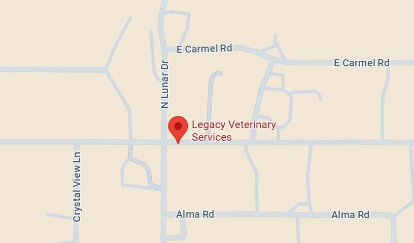 Legacy Veterinary Services
