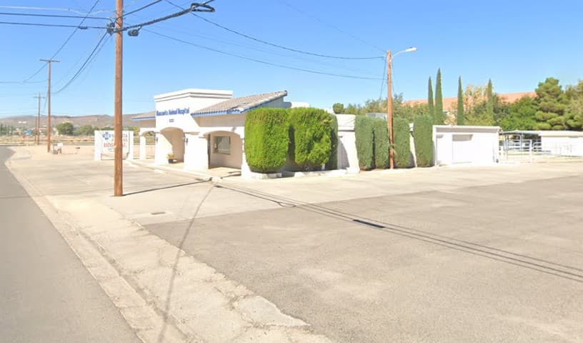 Manzanita Animal Hospital