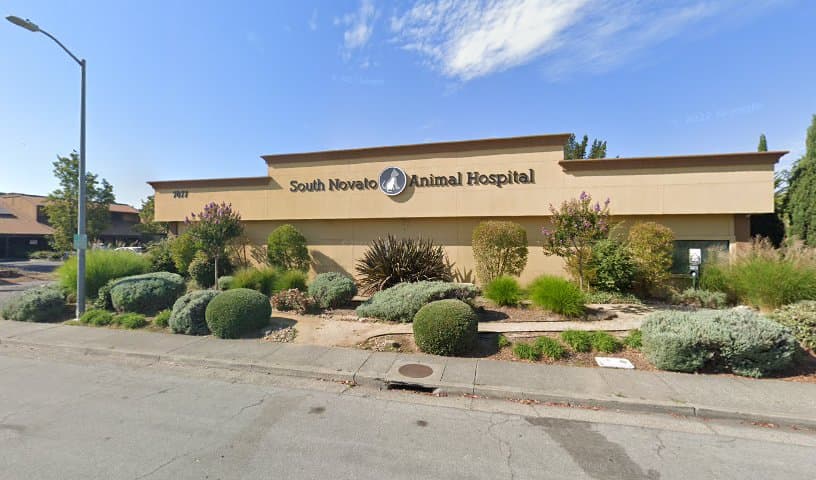 South Novato Animal Hospital