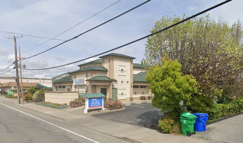 Bay Area Veterinary Hospital