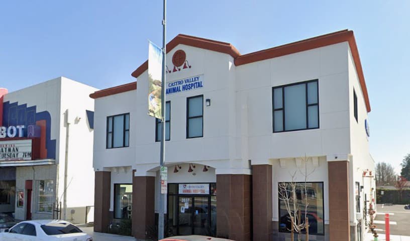 Castro Valley Animal Hospital