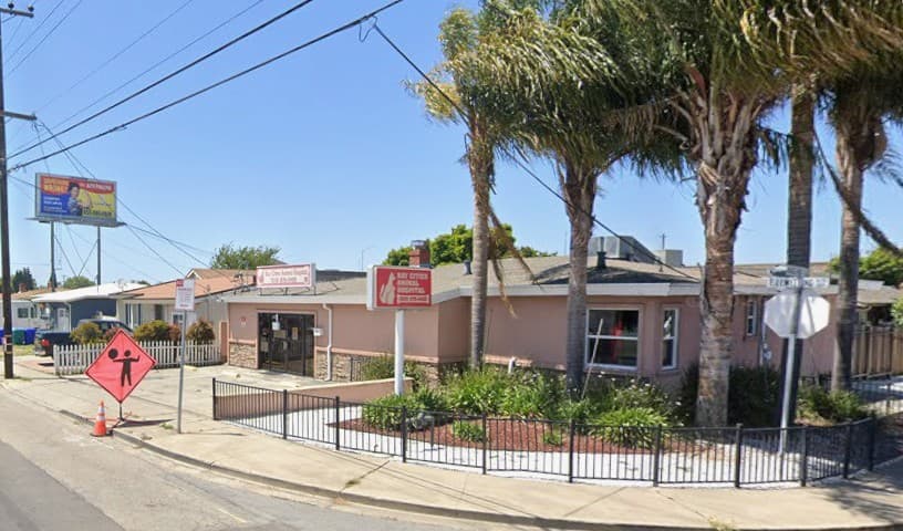 Bay Cities Animal Hospital