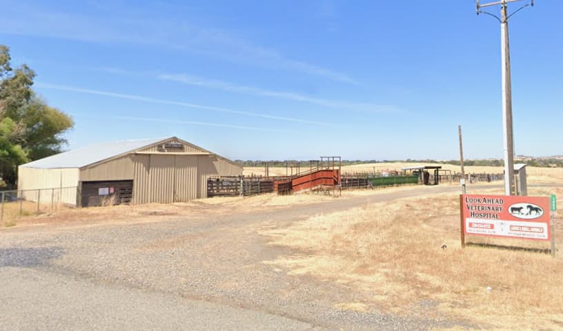Look Ahead Veterinary Hospital