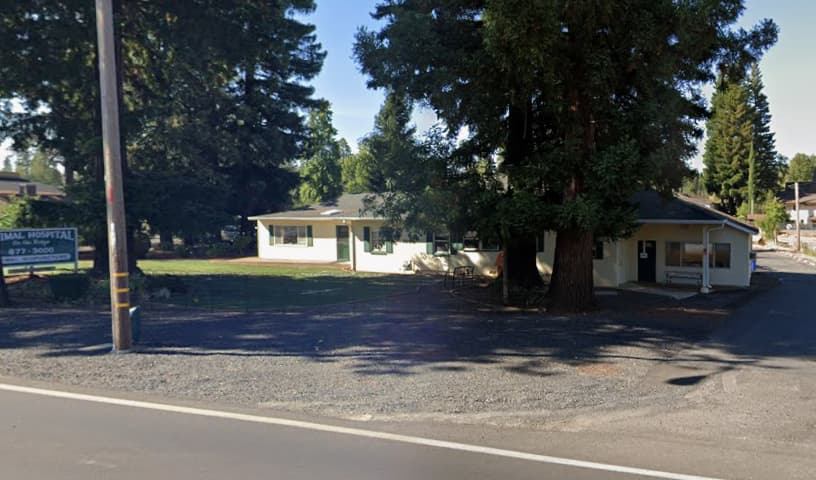 Animal Hospital On The Ridge