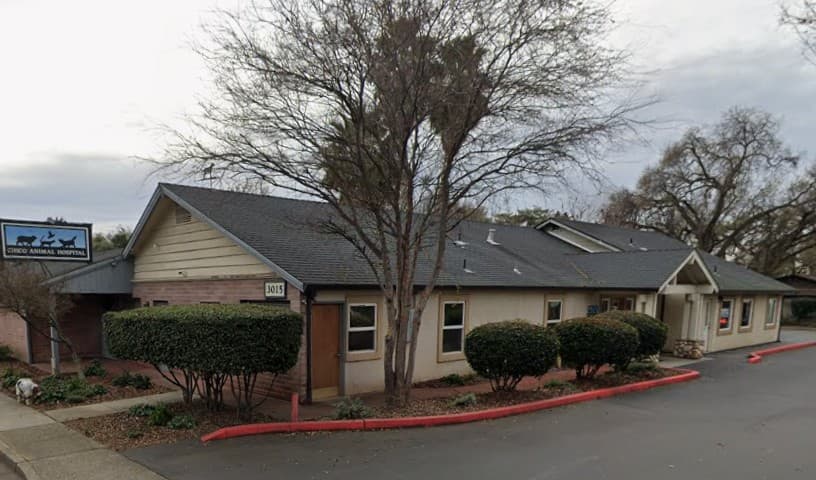 Chico Animal Hospital
