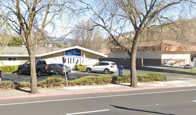 Alamo Animal Hospital