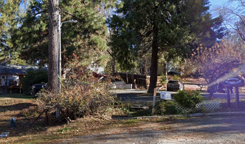 Black Oak Animal Hospital