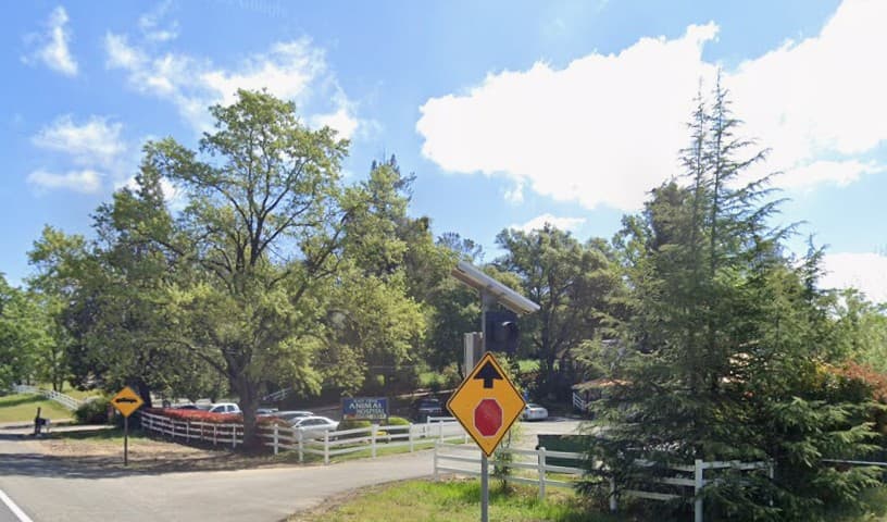 Slate Creek Animal Hospital