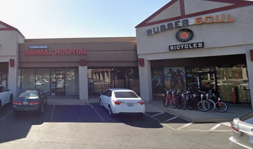 Companion Animal Hospital