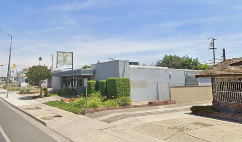 Shield Stone Pet Hospital