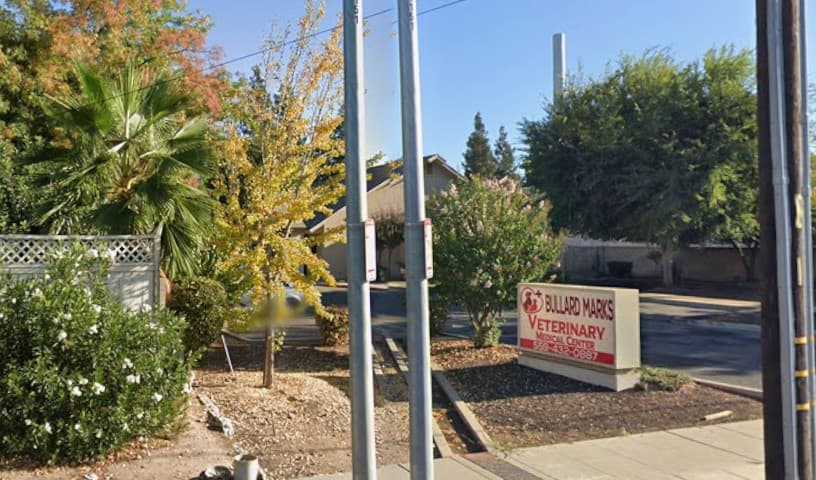 Bullard Marks Veterinary Medical Center