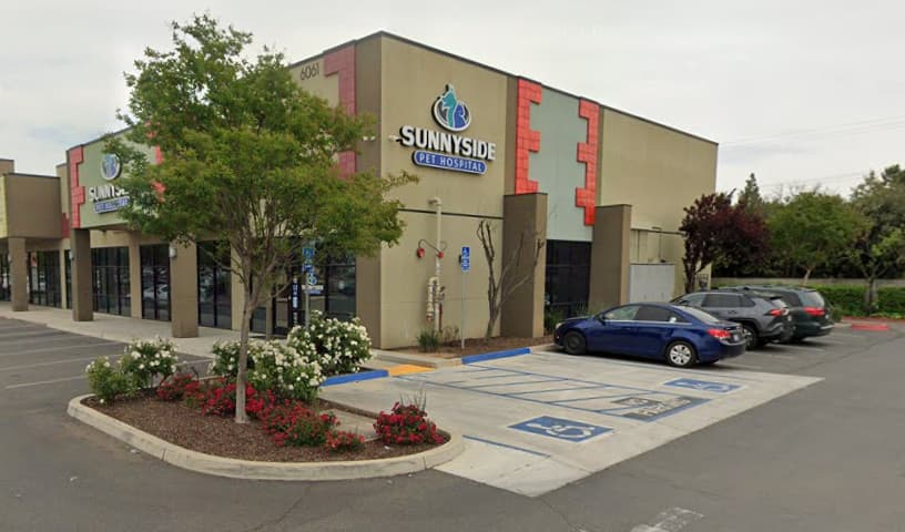 Sunnyside Pet Hospital