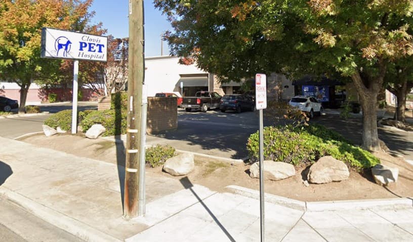 Clovis Pet Hospital