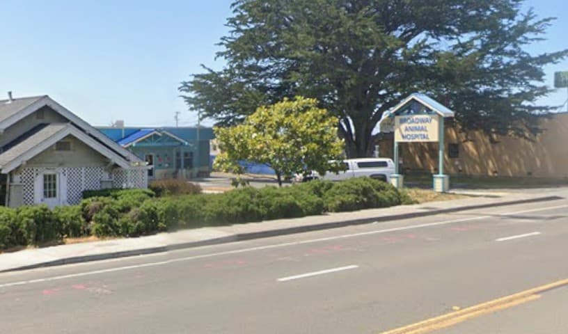 Broadway Animal Hospital