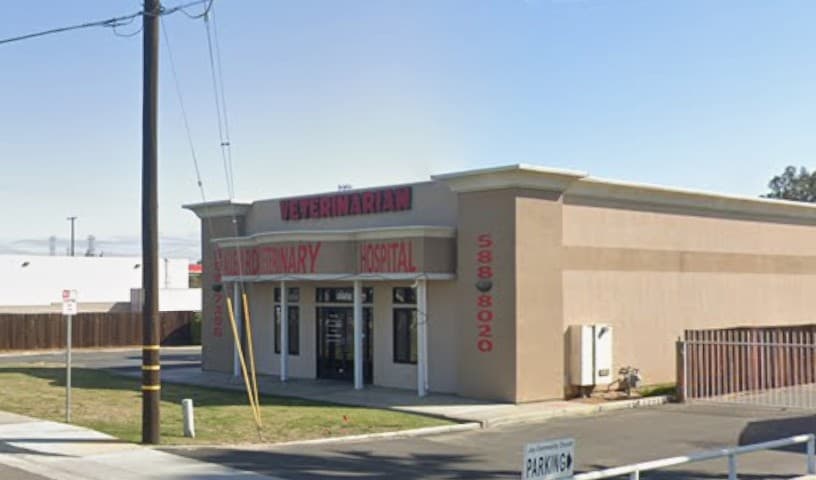 Allen Road Pet Hospital