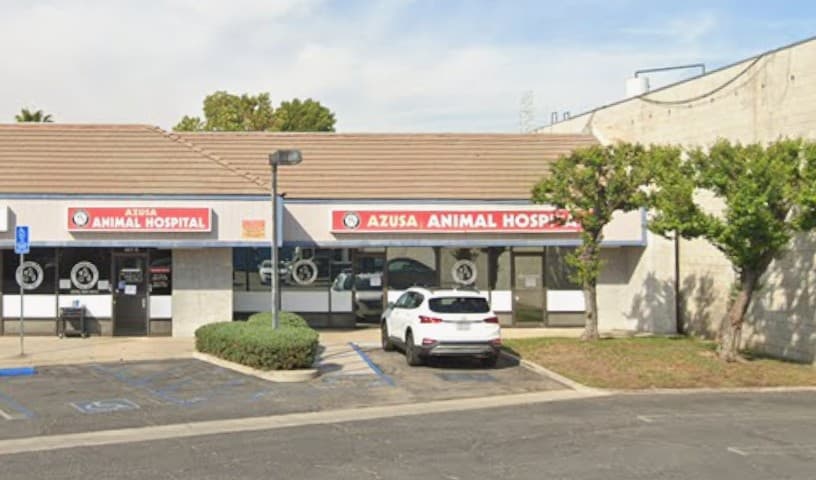 Azusa Animal Hospital