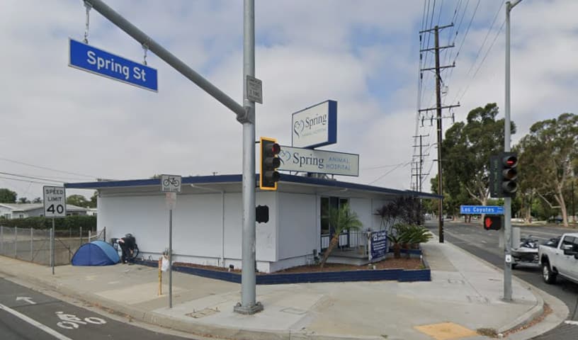 Spring Animal Hospital
