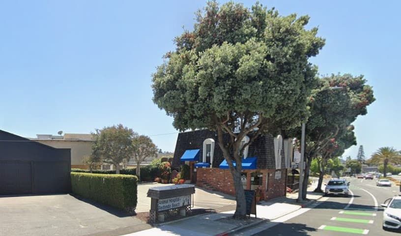 Animal Hospital of Redondo Beach