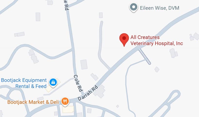 All Creatures Veterinary Hospital, Inc.