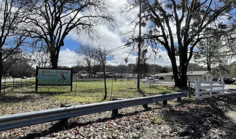 Willits Animal Hospital