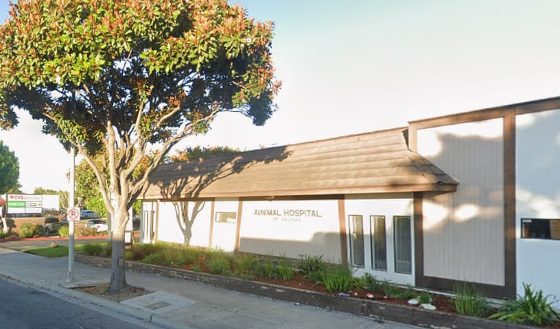Animal Hospital of Salinas