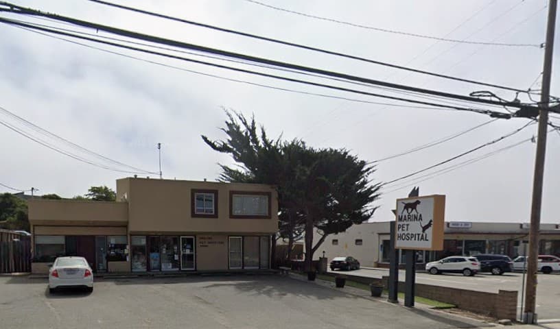 Marina Pet Hospital