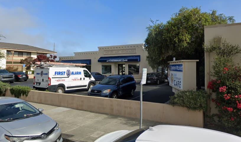 Nichols Veterinary Care