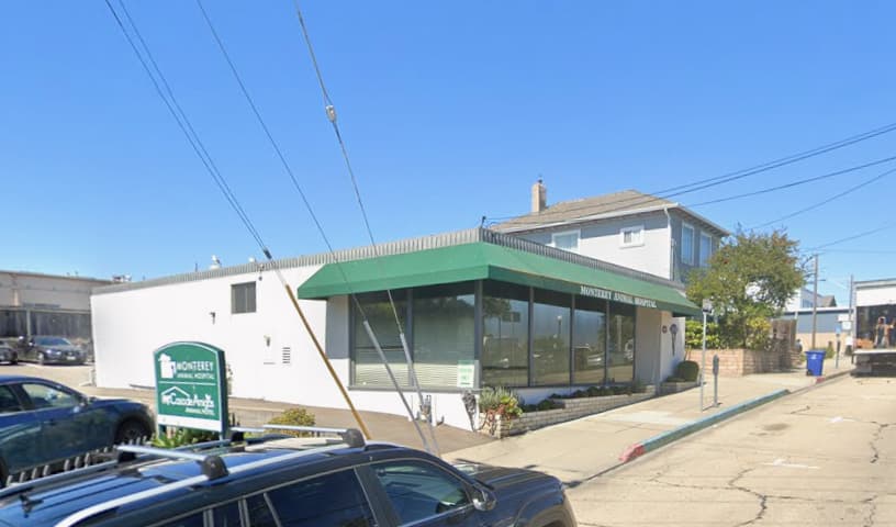 Monterey Animal Hospital