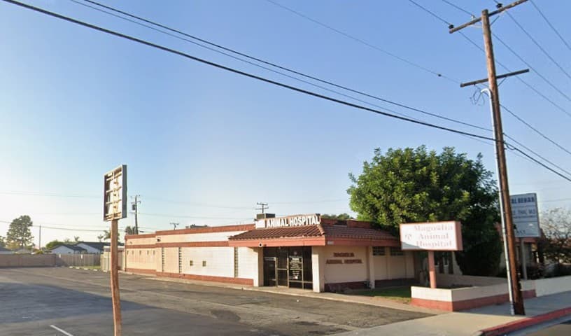 Magnolia Animal Hospital