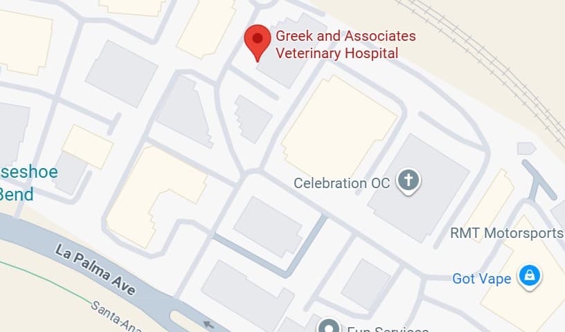 Greek & Associates Veterinary Hospital